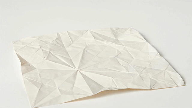 Elephant white - Origami Artist Sipho Mabona 
