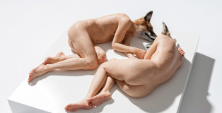 Sam Jinx, Iperrealism - Dogshead, 2008