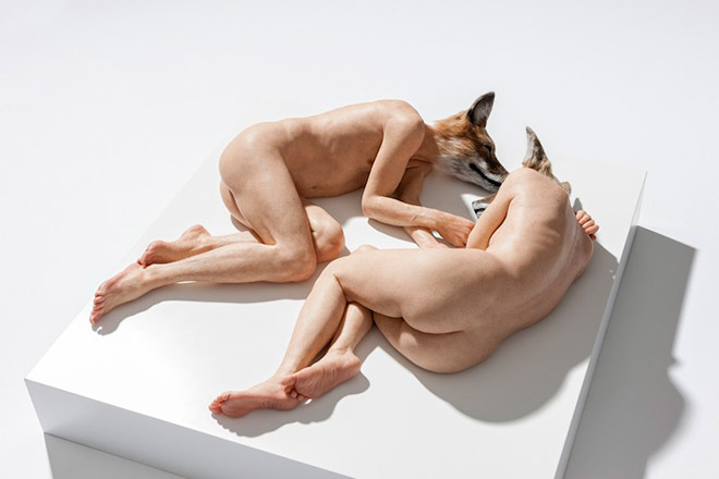 Sam Jinx, Iperrealism - Dogshead, 2008