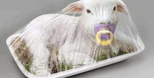 A Pasqua non mangiate agnello e capretti.
