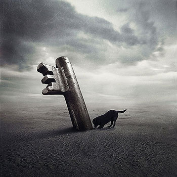 Surreal dogs Photography