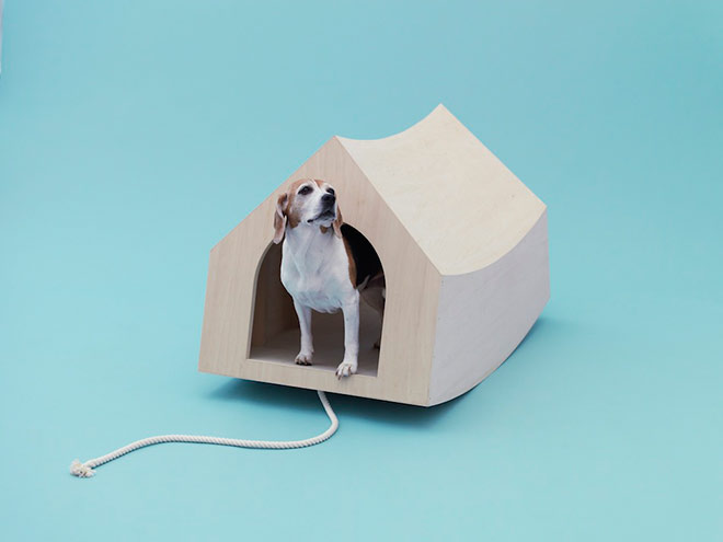 Architecture for dogs