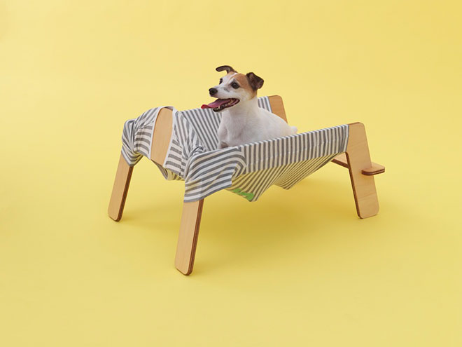 Architecture for dogs
