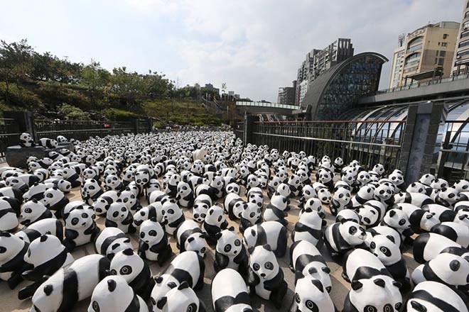 Pandas - Hong Kong