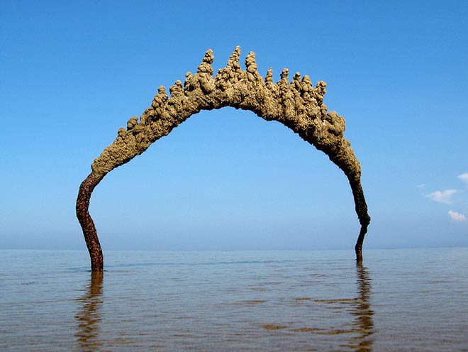 Sandcastlematt - Castelli di sabbia che sfidano la gravità