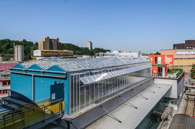 Urban farmers rooftop