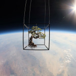 Azuma Makoto – Exobiotanica, Botanical space flight
