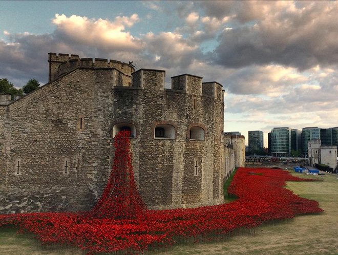 Tower Poppies – Blood Swept Lands and Seas of Red