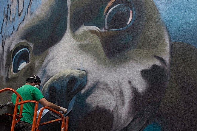 Smates - Hyperrealistic dog under water mural - Street art Belgium