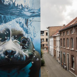 Smates – Hyperrealistic dog under water mural