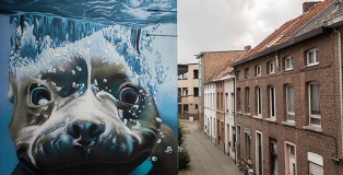 Smates - Hiper-realistic dog under water mural