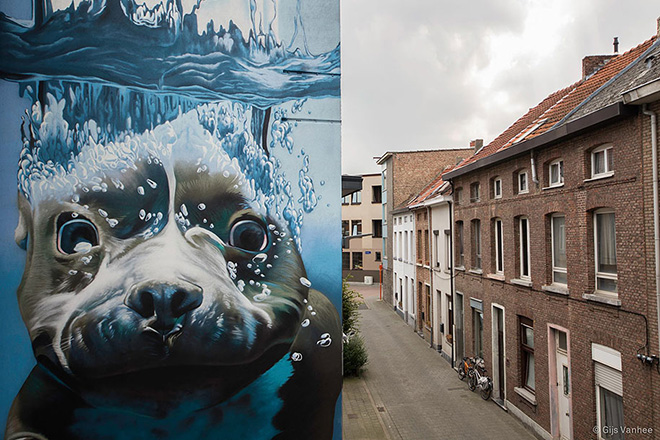 Smates – Hyperrealistic dog under water mural