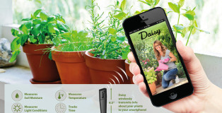 Daisy - Indoor/Outdoor sensor package