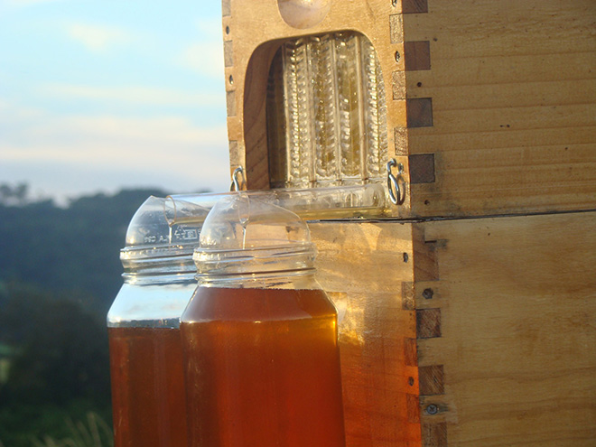 Flow Hive - Estrarre il miele da un alveare senza disturbare le api