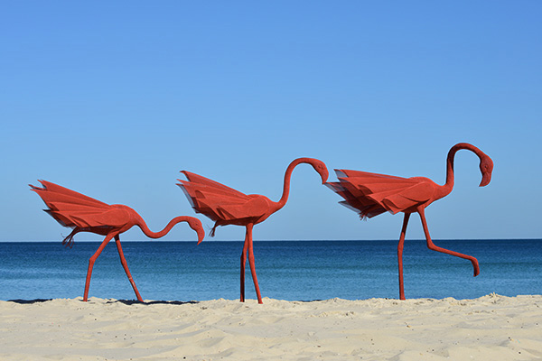 Wendi Zhang, mi no 5, Sculpture by the Sea, Cottesloe 2015. Photo Clyde Yee