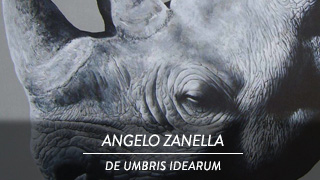 Angelo Zanella - De Umbris Idearum