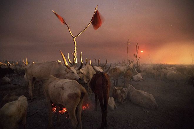 Kazuyoshi Nomachi - Nilo, Un accampamento di allevatori nella notte mentre sorge la luna piena Jonglei, Sudan del Sud 2012 Kazuyoshi Nomachi - Nilo, Un accampamento di allevatori nella notte mentre sorge la luna piena Jonglei, Sudan del Sud 2012