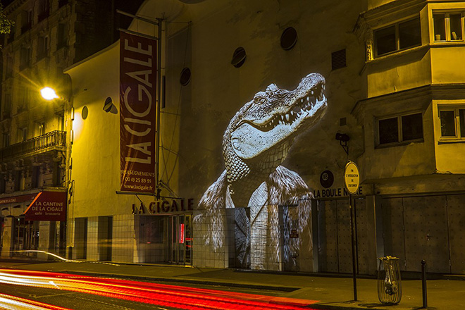 Le Crocodile de la Cigale / The Crocodile of La Cigale // 2015 © Julien NONNON