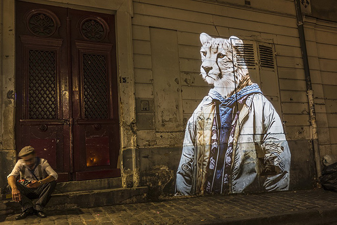 Le Guépard du Tertre / The Sheetah of Montmartre // 2015 © Julien NONNON