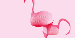 Andrea Minini - Flamingos, Animals in Moiré | 3rd series