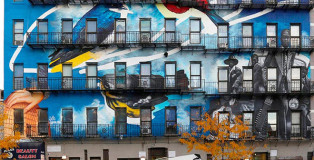 Gaia - Endangered Harlem, The Audubon Mural Project, New York