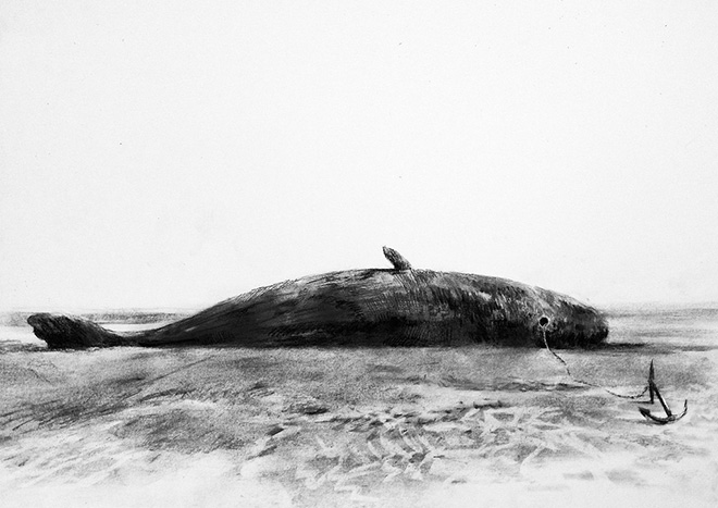 Pejac - Beached whale, 2015