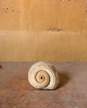 ©Joel Meyerowitz - Pitcher wood, Morandi's Objects