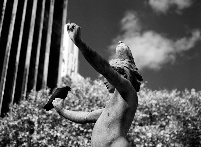 Emanuela Gardner - Fontitude, Central Park, New York