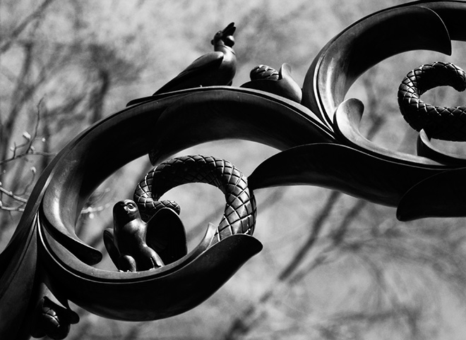 Emanuela Gardner - Iron birds, Central Park, New York