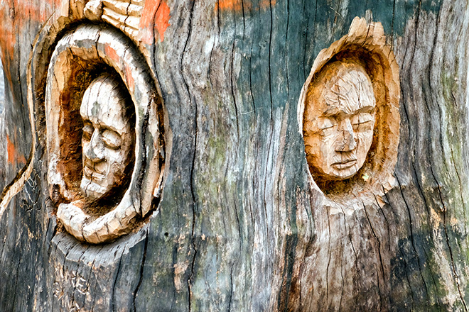 Andrea Gandini – Il nuovo volto degli alberi