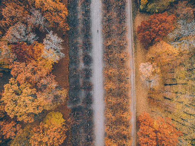 Tobias Hägg - Airpixels, Tones of Autumn Tobias Hägg - Airpixels, Tones of Autumn
