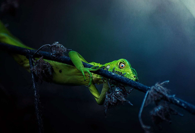 Jonatan Banista - Central America National Award, Sony World Photography Awards 2017 Jonatan Banista - Central America National Award, Sony World Photography Awards 2017