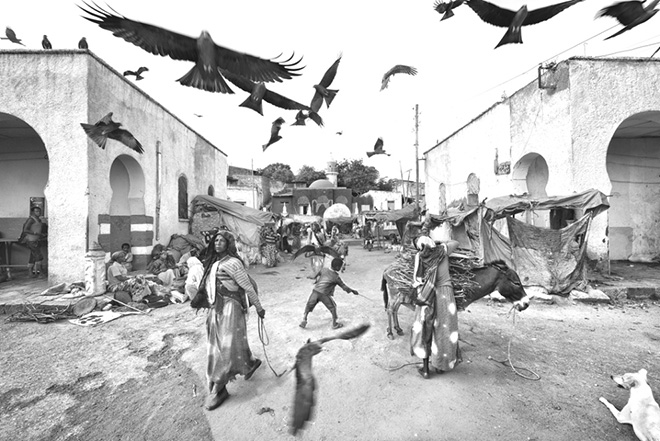 Marco Paoli - Ethiopia, Harar Marco Paoli - Ethiopia, Harar
