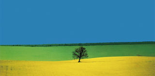 Franco Fontana - Puglia, 1987 Franco Fontana – Entusiasmo ed ispirazione