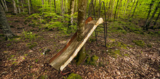 Pejac - Nature First, 2017, foresta di Olot, Gerona, Catalogna. Pejac – Nature First
