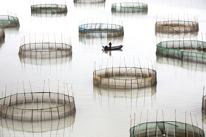 International Photographer of the Year 2017