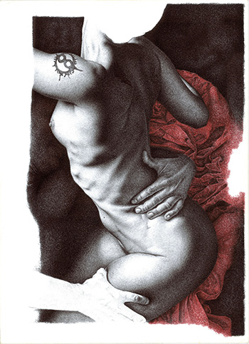 Adele Ceraudo - Il ratto di Proserpina, collezione Le affinità elettive, 2011-2013 disegno a bic su carta Fabriano, cm 48x33
