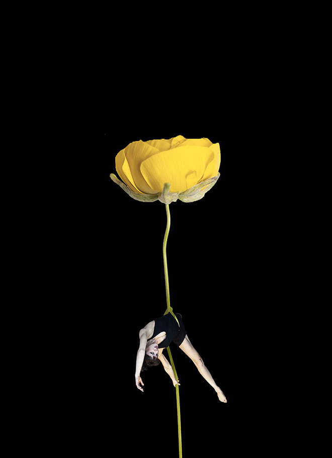 Erika Zolli - Aerial Flowers