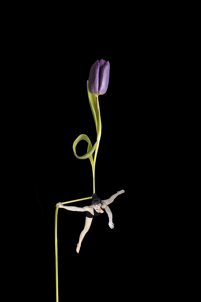 Erika Zolli - Aerial Flowers