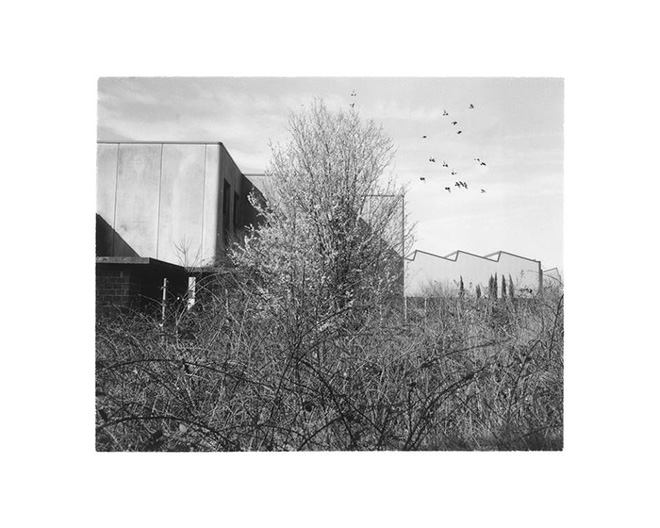 David Wilson - Shores / Plains / Mountains