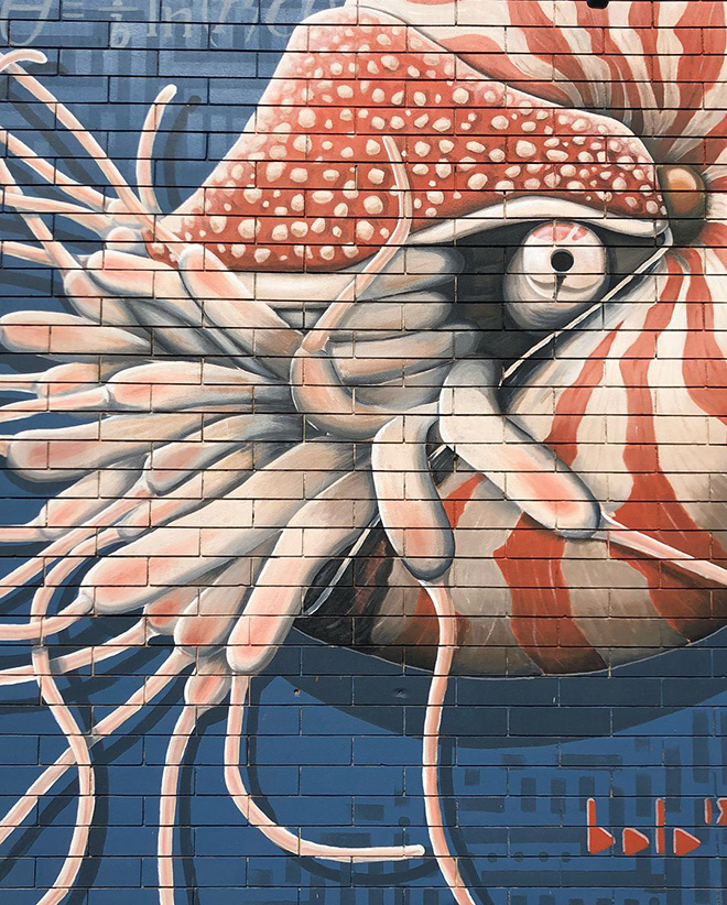 Alessio Bolognesi - Fibonacci, Vedo a colori, Street Art nel porto di Civitanova Marche