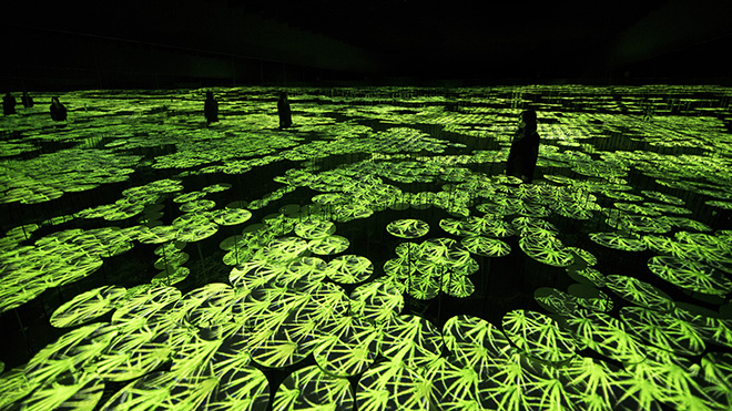 teamLab – Memory of Topography