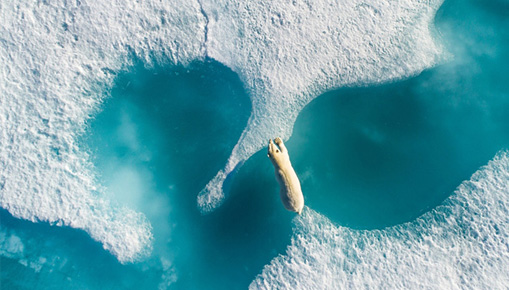 Drone Awards 2018 - Siena, Photography Exhibition Drone Awards 2018 - Siena, Photography Exhibition