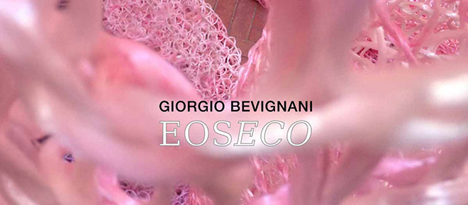 Giorgio Bevignani - EosEco, installazione site-specific,  Palazzo Zambeccari, Bologna