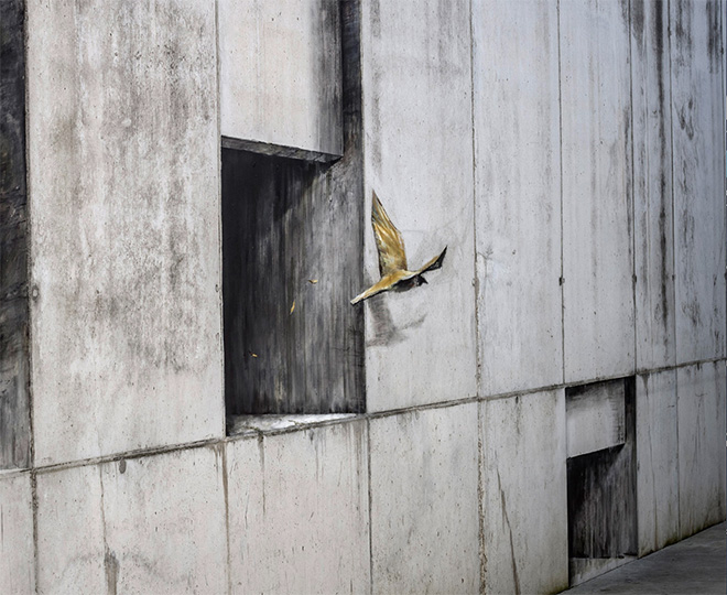 Pejac - Hollow Walls, Gold Mine, street art nella prigione El Dueso, Santander, 2019