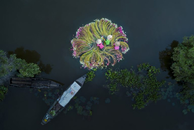 Khanh Phan - Flowers on the Water, Winner People category, Drone Awards 2019