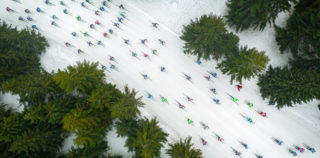 Jacek Deneka - A Shoal of Colorful Fish, Drone Awards Photographer of the Year - Drone Awards 2019 Drone Awards 2019 – I vincitori della 2° Edizione