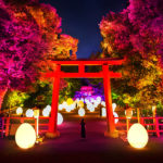 teamLab – Digitized Forest at the World Heritage Site of Shimogamo Shrine, Kyoto Art