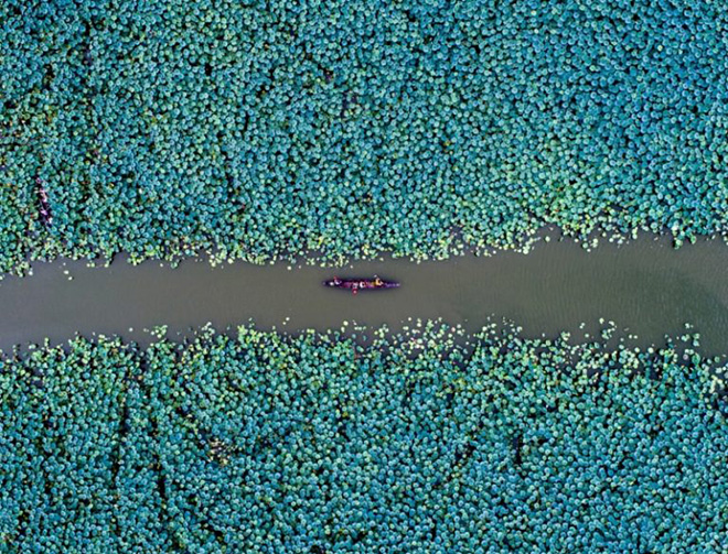 Shihui-Liu - Lonesome Boat, Commended Nature category, Drone Awards 2019