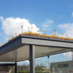 Utrecht: ecosistemi urbani per api alla fermata del bus